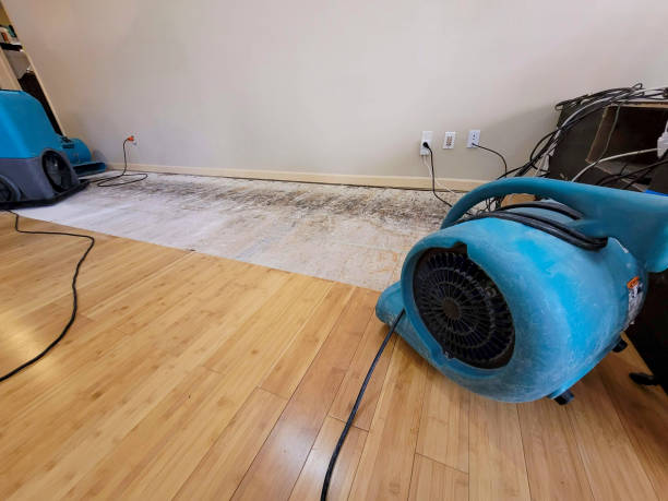 Professional Flood Damage Cleanup technician working in Beech Bottom, WV